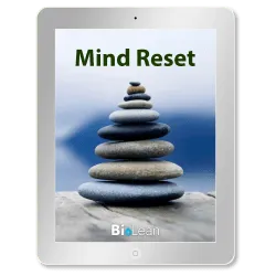 The Mind Reset Book
